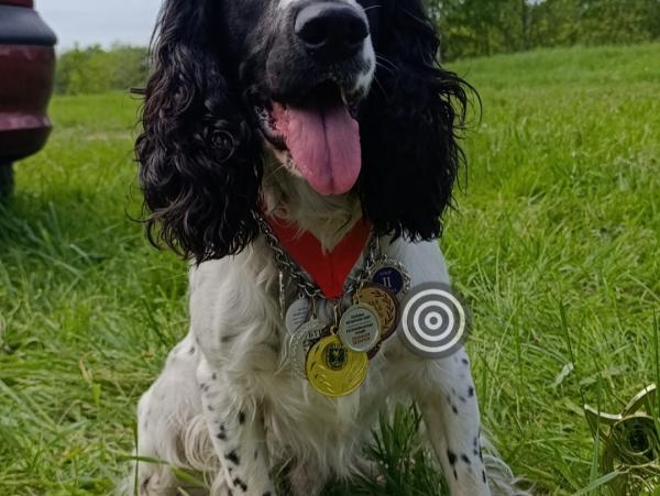 Ерик, Русский охотничий спаниель